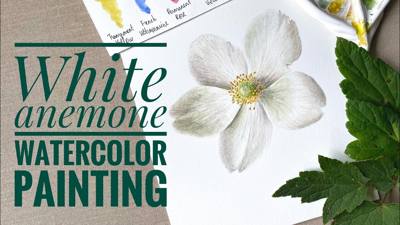 How to paint White Flowers with Watercolors | White Anemone Painting | Realistic Painting
