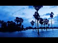 Khuda Bhi Jab Tumhe Love Status Nature Scene Whatsapp Status