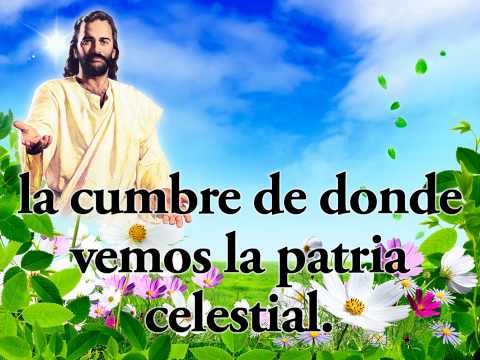 539   Oh, día delicioso