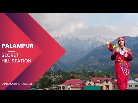 Palampur Himachal Pradesh || Secret Hill Station || Paradise on Earth
