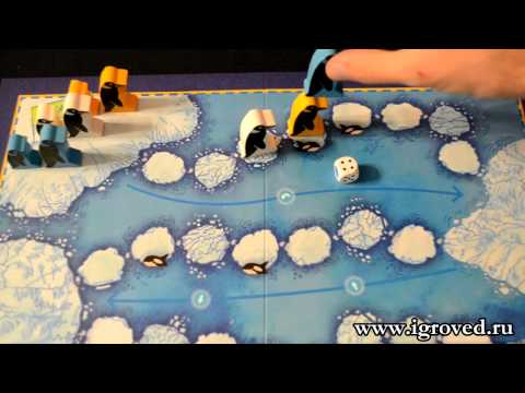 Пинги Понго. Обзор настольной игры от Игроведа