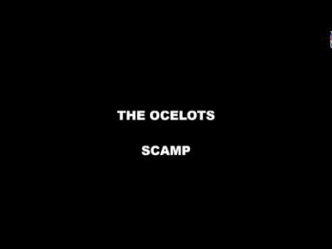 The Ocelots - Scamp