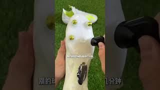 Video thumbnail image