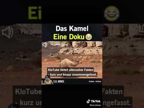 Das kamel
