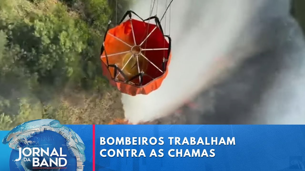 Incêndios já devastaram mais de 11 milhões de hectares neste ano | Jornal da Band