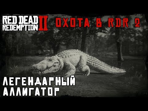 ЛЕГЕНДАРНЫЙ АЛЛИГАТОР - охота в RDR 2
