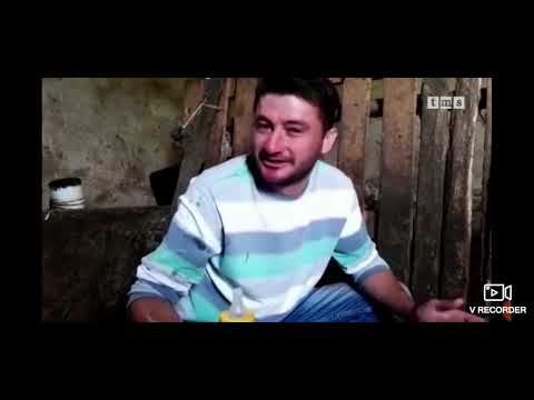 Marko hrani osam prasića na cuclu