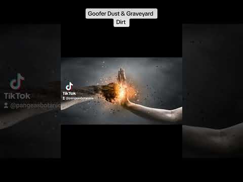 Goofer Dust and Graveyard Dirt
