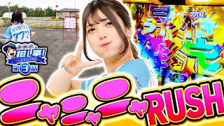 まめこの推し事‼ vol.3  