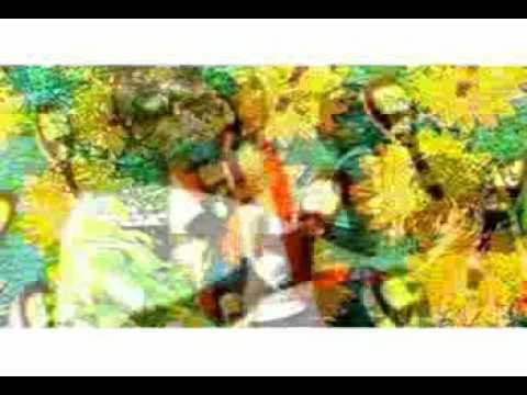 Mona Fye - FlavaBoy  (Official Video)