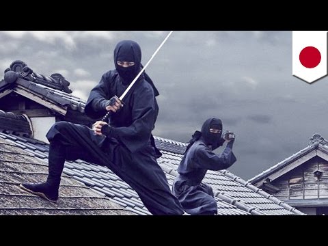 How to become a ninja: Japan looking to hire full-time ninjas to boost tourism - TomoNews