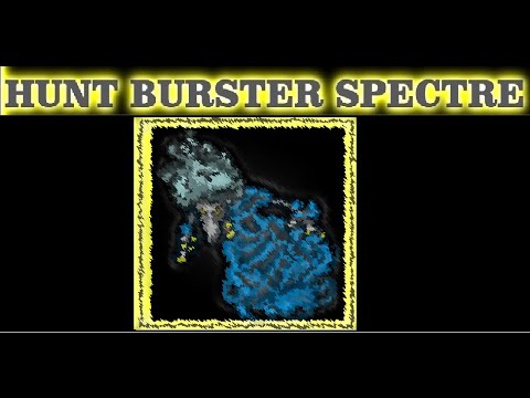 Paladin Solo Hunt Burster Spectre (4.5kk/h on 150%)