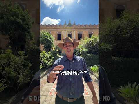 ESTÁ SENDO OBSERVADO  #historia #sabiadocampo #fazenda