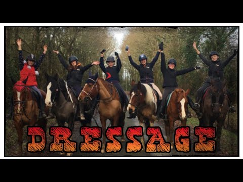 [COURS] Dressage 🤟 11/01/20 - CS’o Landreau