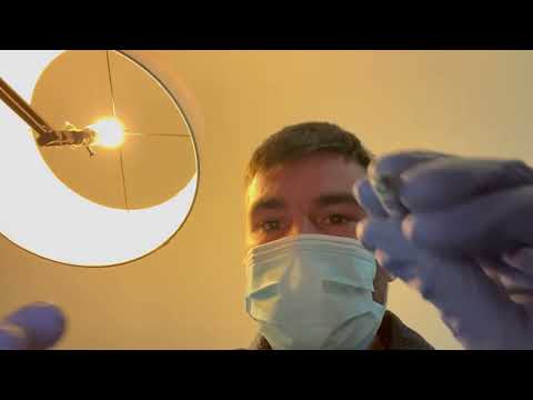 ASMR | Realistic Dentist Visit 🦷
