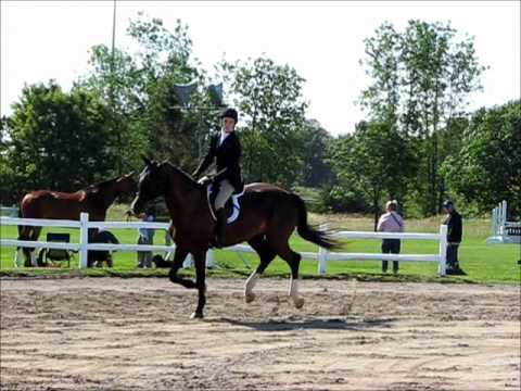 download lagu mp3 mp4 Vsry Andr nnep 2010, download mp3 Vsry Andr nnep 2010 free download, download mp3 Vsry Andr nnep 2010