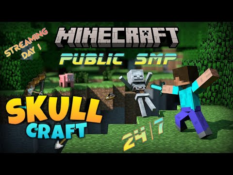 Perfect Smp - Minecraft Survival Server IP, Reviews & Vote