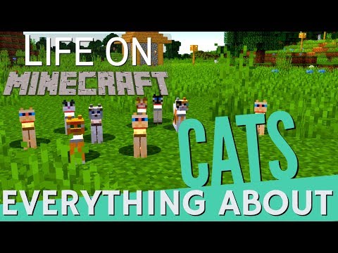 Minecraft Cats: All About Cats in Minecraft Breeding Taming & REALLY USEFUL Things 1.14.4 (Avomance)