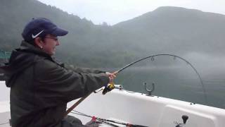 preview picture of video 'Köhler (Seelachs) - 15 Pfund - Drill am light tackle - Norwegen'