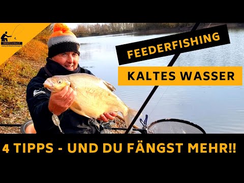 FUTTERKORBANGELN - 4 Wintertipps an tiefe Seen