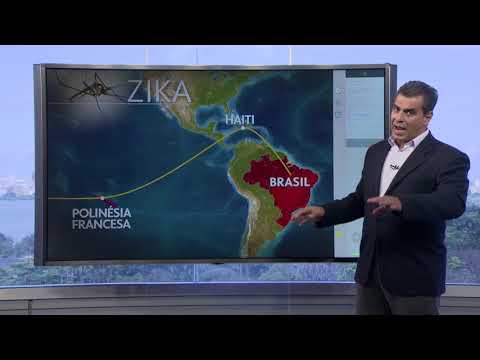 O caminho do zika