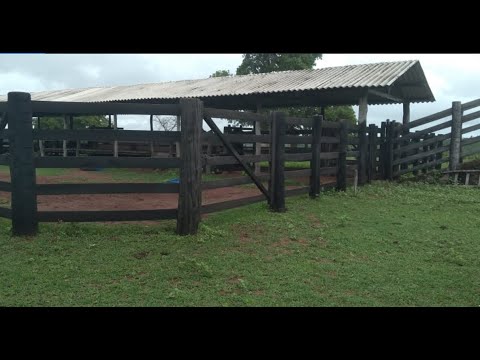 Venda Rápida Fazenda em General Carneiro MT. Área de 100 Alqueirão, Fazenda de pecuária. Mato Grosso
