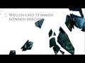 Jodi Picoult: Zerbrechlich