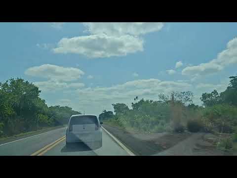 Chuvas mudam a paisagem da BR-316 entre Demerval Lobão a Lagoa do Piauí 