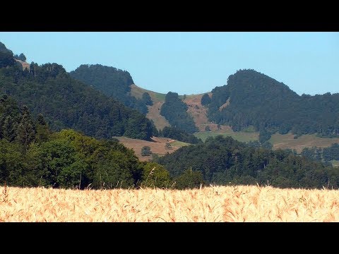 Naturporträt Lauwil