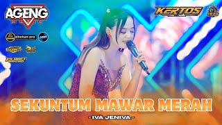 Download lagu SEKUNTUM MAWAR MERAH  - IVA JENIVA - AGENG MUSIK - LIVE IN KERTOS 2026 mp3