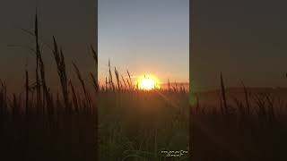 Download lagu Story wa | Guns 'n Roses - Patience Cover by First to Eleven mp3