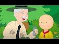 Caillou Meets The Park Ranger Caillou WildBrain