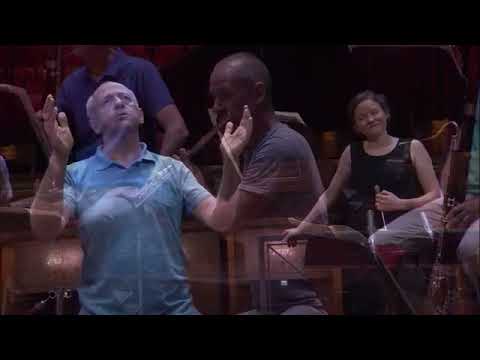 How to conduct an orchestra - By the great Ivan Fischer