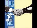 THE REPLACEMENTS - Red Red Wine (2008 Remaster)