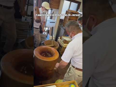 Oh noooo! #mochi #ricecake #chewy #nara #japan #japanfood #japanstreetfood #japanesedessert