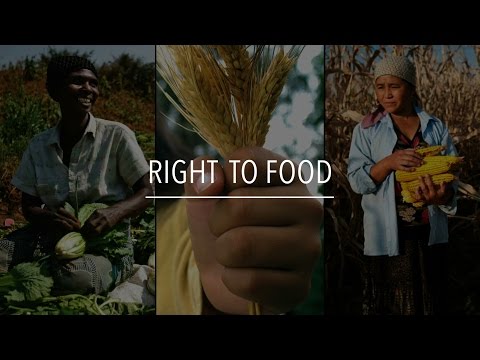 FAO Policy Series: Right to Food