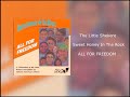 Sweet Honey In The Rock- The Little Shekere (ALL FOR FREEDOM)