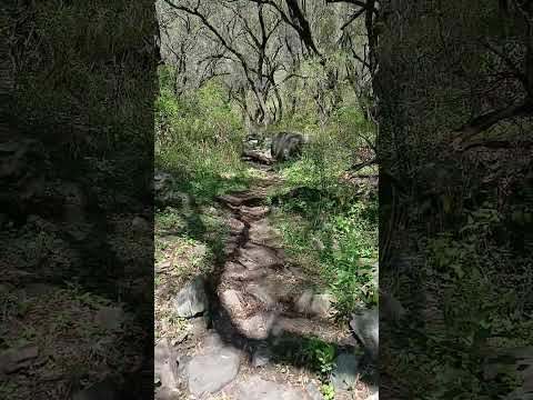 Caminando por las sierras. Los Molles S. Luis