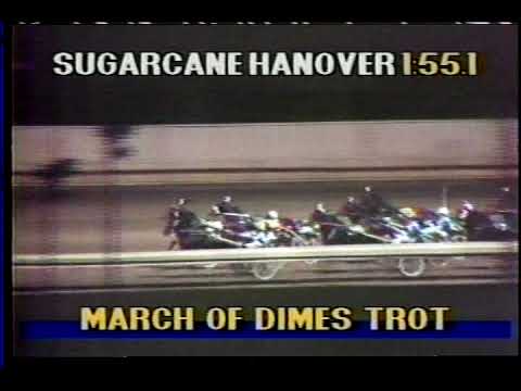 Sugarcane Hanover -- 1988 March of Dimes Trot