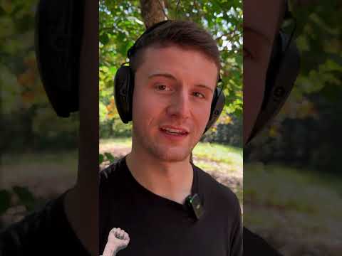 Winchester Large Rifle Primers