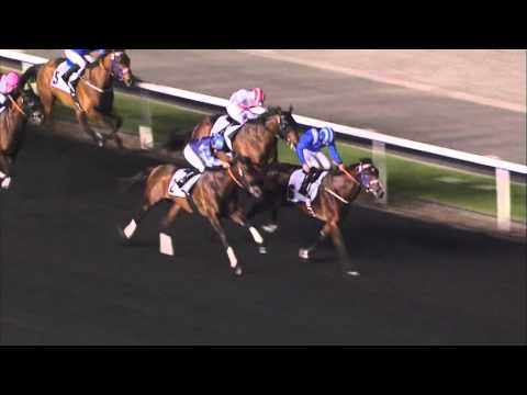 16.02.2013 Meydan (Dubai-UAE) 2.Race Al Basti Equiworld Foran Cup  - 1.400 m