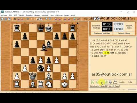 bluebaum matthias and sebenik matej