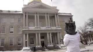 preview picture of video 'Dr. Hoot Goes To Concord NH—MyMedicalShopper'