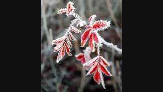 Allegretto from Palladio by Karl Jenkins