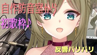 [Vtub] 小箱or個人Vtuber 0902 DD串