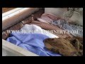Cloth Rags Textile Recycling Machine