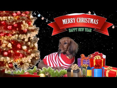 Dr. Klotman's Video Message - Week 301