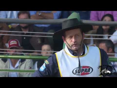 PN Cambiasso - Freio de Ouro 2017 na  Prova de Mangueira   Domingo