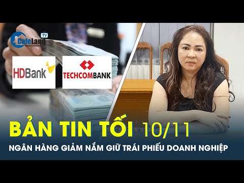 , title : 'Bản tin tối 10/11: Bà Nguyễn Phương Hằng tiếp tục bị tạm giam, NH giảm lượng trái phiếu vì rủi ro'