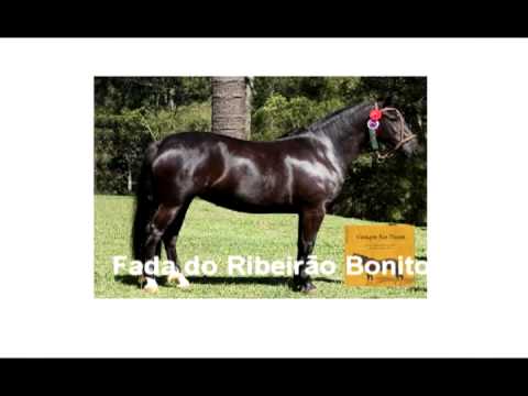 Cabanha Ribeirão Bonito